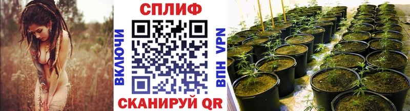 Какие есть наркотики Туран Амфетамин Меф мяу мяу А ПВП кракен tor Cocaine Канабис