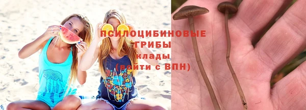 jwh Лиски