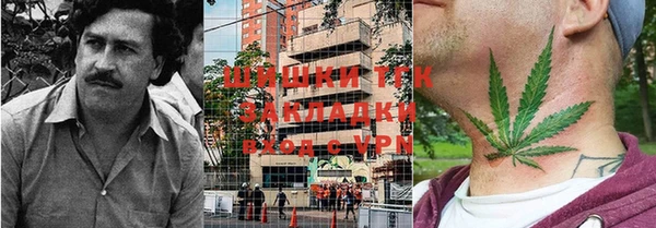 СК Куйбышев
