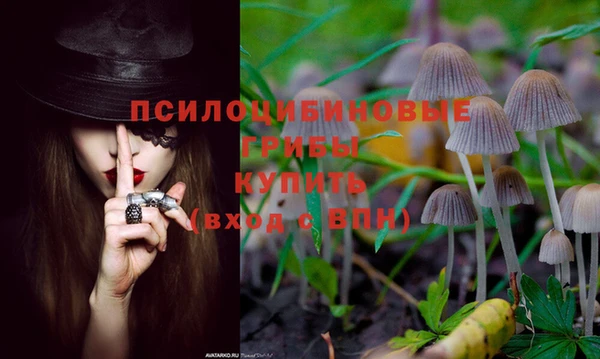 дурь Кулебаки