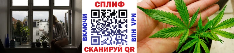 Шишки марихуана VHQ  МЕГА ССЫЛКА  Туран 